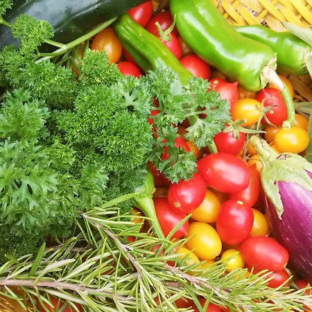 Fattoria Walden * Ficulle