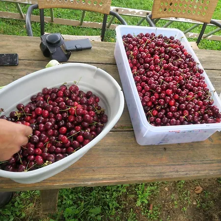 Gospodarstwo agroturystyczne Fattoria Walden *