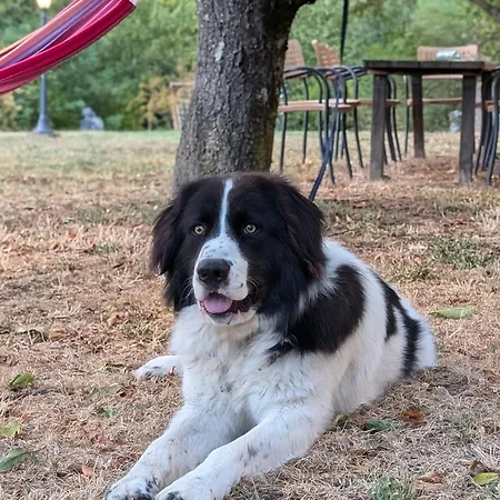 Séjour à la ferme Fattoria Walden Ficulle
