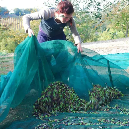 Fattoria Walden Séjour à la ferme