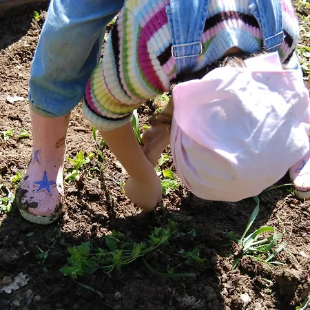 Fattoria Walden Séjour à la ferme Ficulle