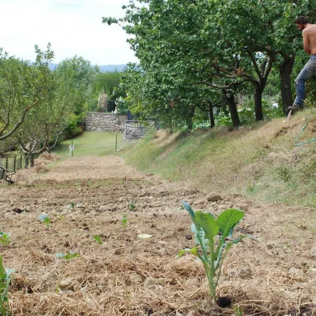 Gospodarstwo agroturystyczne Fattoria Walden